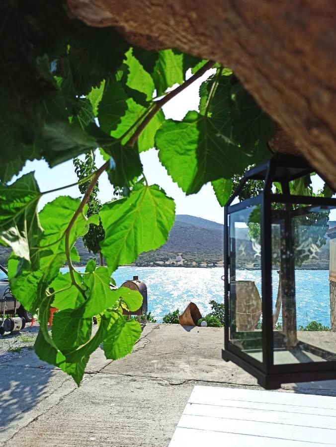 Tholos Alexandra'S Beachfront House Kavoúsion Eksteriør billede