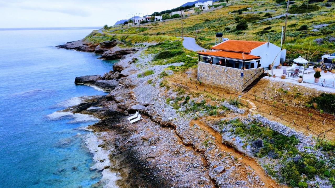 Tholos Alexandra'S Beachfront House Kavoúsion Eksteriør billede