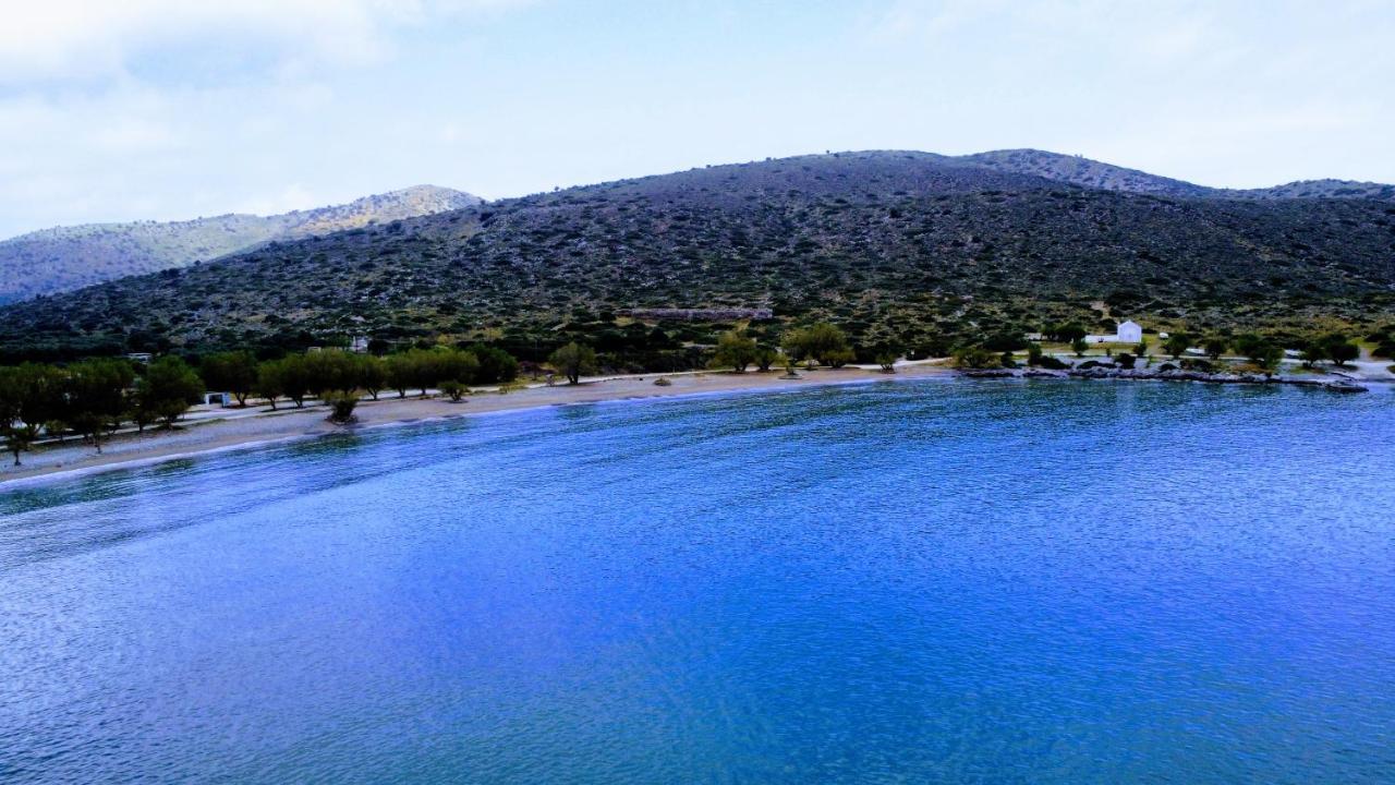 Tholos Alexandra'S Beachfront House Kavoúsion Eksteriør billede