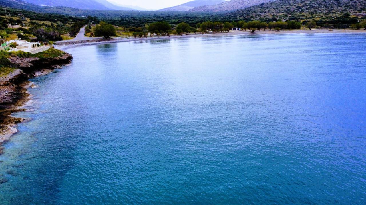 Tholos Alexandra'S Beachfront House Kavoúsion Eksteriør billede