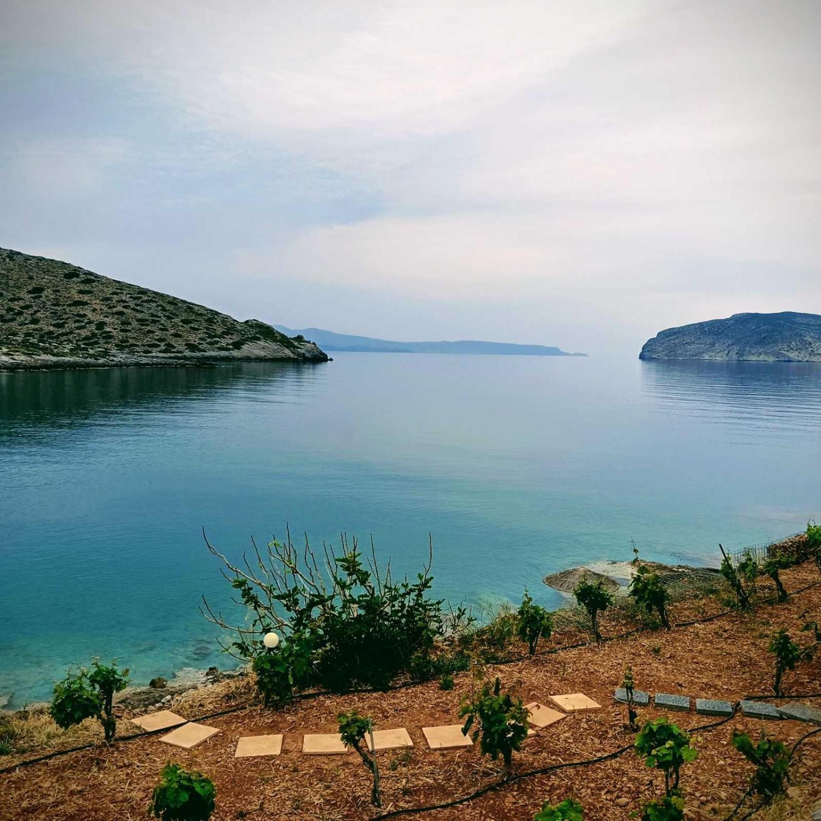 Tholos Alexandra'S Beachfront House Kavoúsion Eksteriør billede